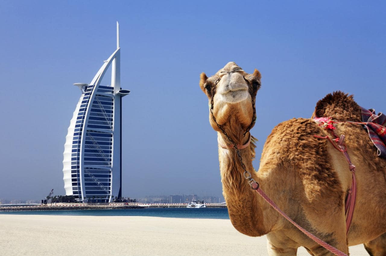 Dubai Tour – Ebrahim Travel and Tours